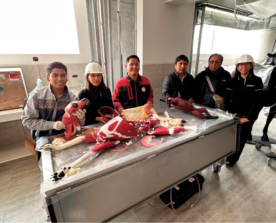 Simulación veterinaria para fortalecer la formación práctica en la UNSAAC