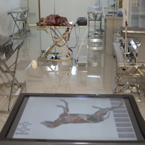 Mesa de Disección - Software 