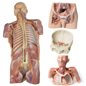 Modelos Maquetas en Impresión 3D 