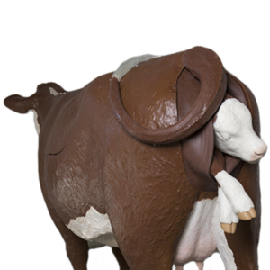 Entrenadores Animales Realistas