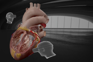 Anatomía en Realidad virtual BodyMap 